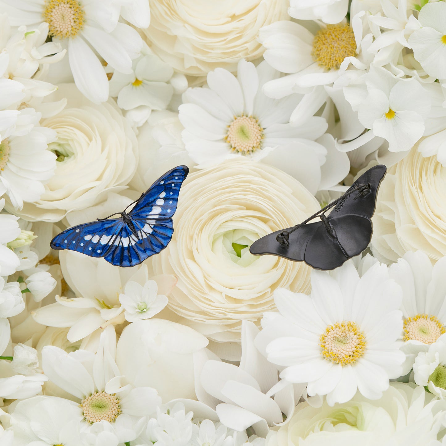 daparo Enamel Pins "Helena Morpho"