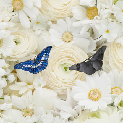 daparo Enamel Pins "Helena Morpho"
