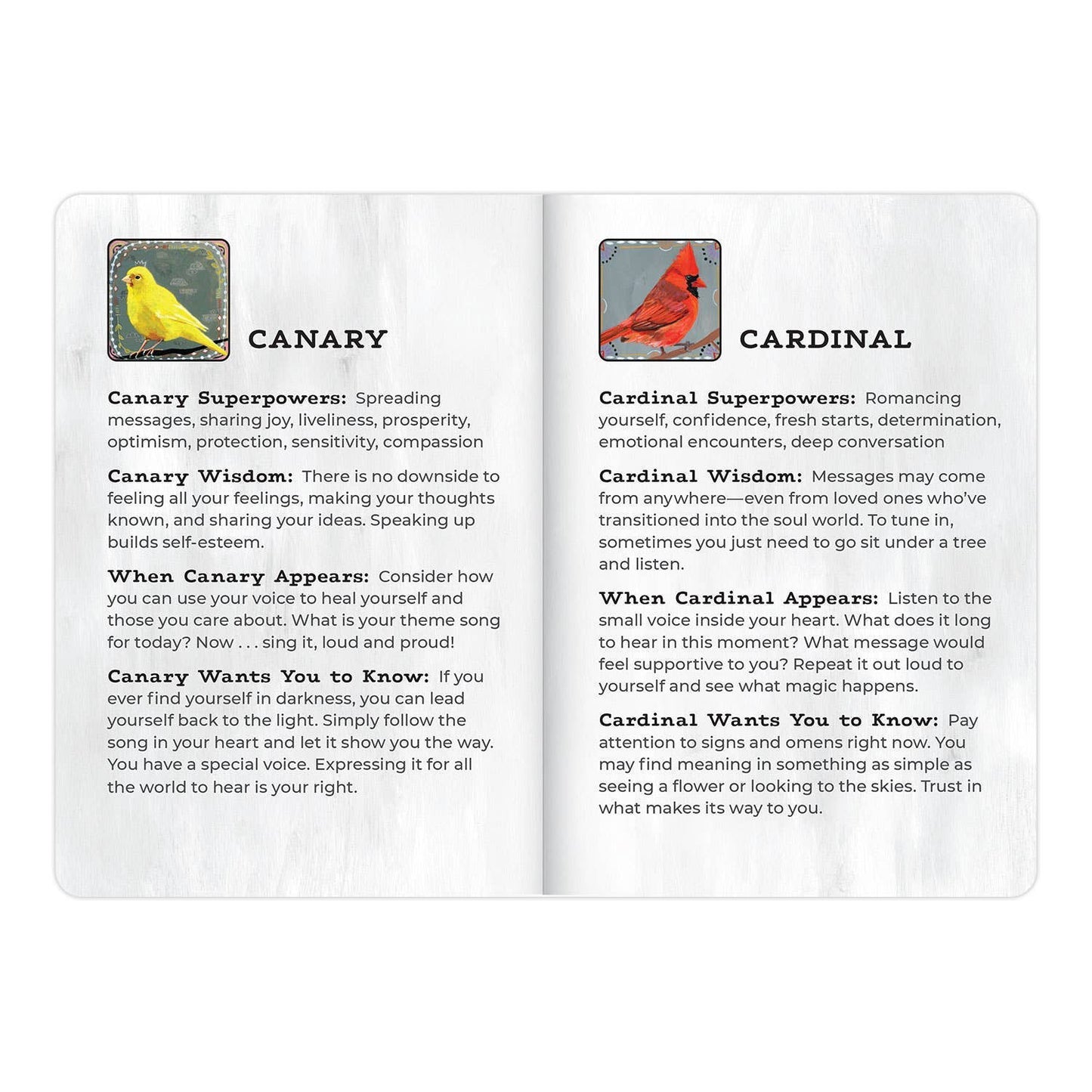 Animal Allies Birds Oracle
