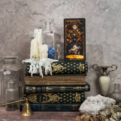 Wonderland Shadows Tarot