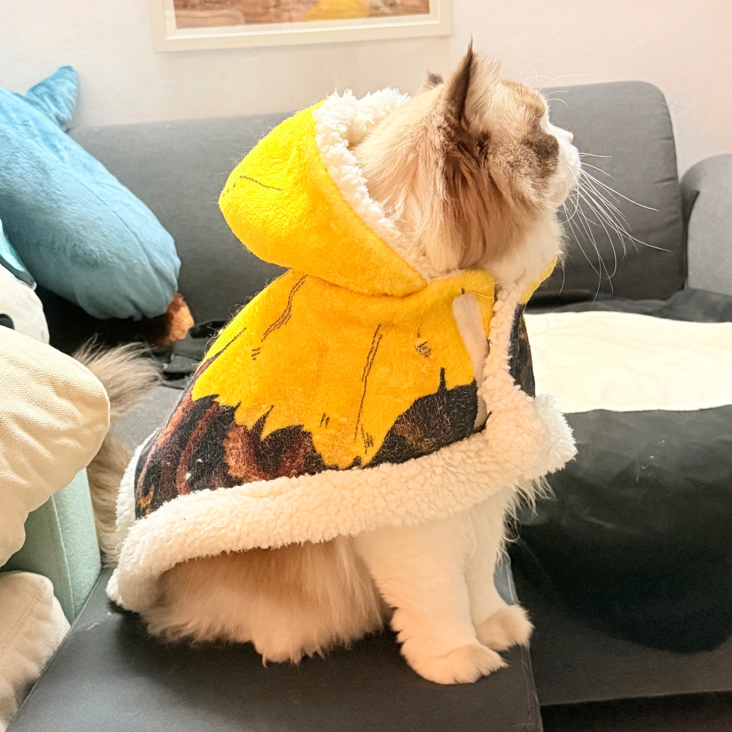 The King in Yellow Hooded Blanket & Matching Pet Cape