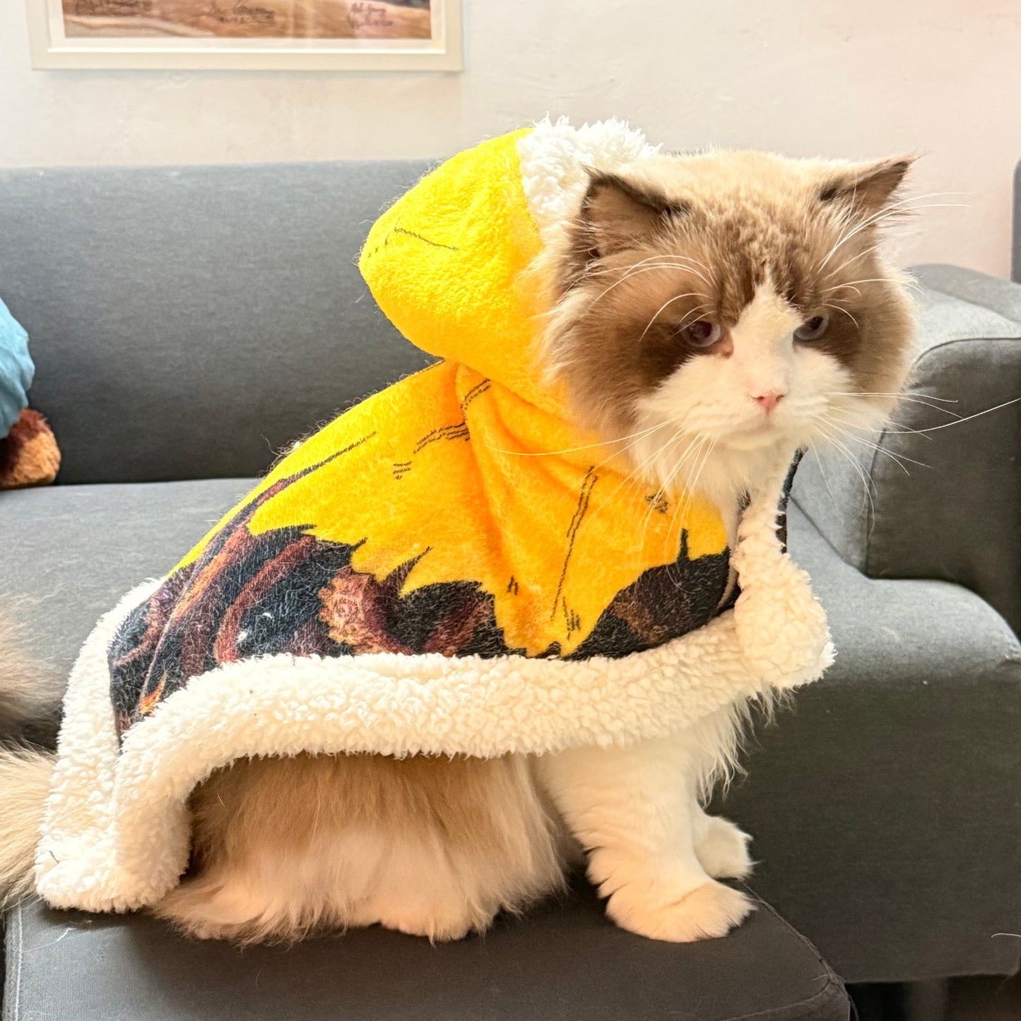 The King in Yellow Hooded Blanket & Matching Pet Cape