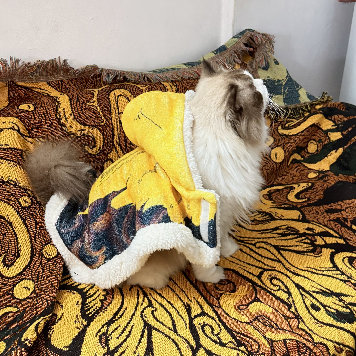 The King in Yellow Hooded Blanket & Matching Pet Cape