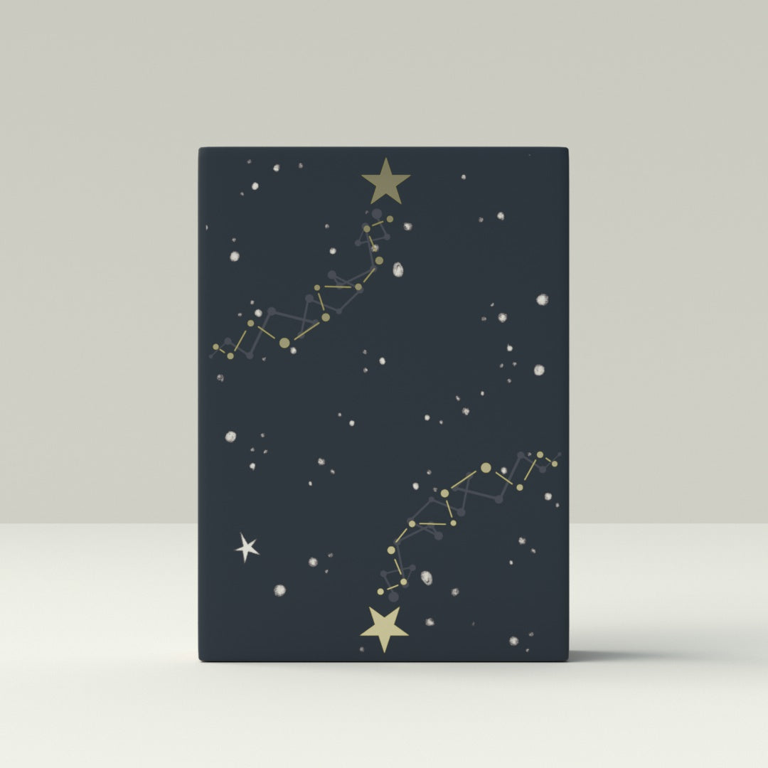 The Little Prince (Le Petit Prince) Insomnia Playing Card Gift Set