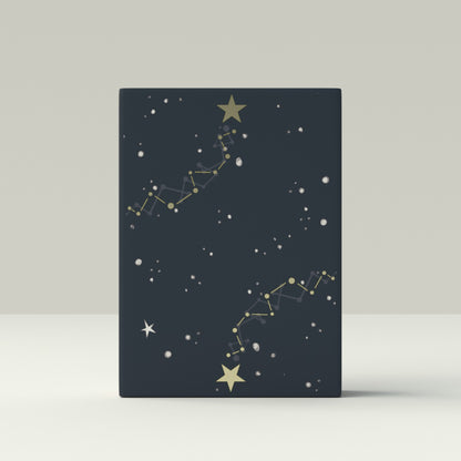 The Little Prince (Le Petit Prince) Insomnia Playing Card Gift Set