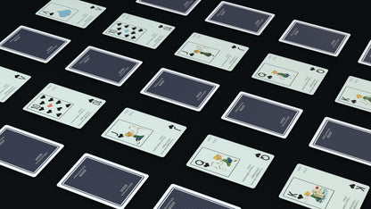 The Little Prince (Le Petit Prince) Insomnia Playing Card Gift Set