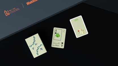 The Little Prince (Le Petit Prince) Insomnia Playing Card Gift Set