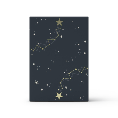 The Little Prince (Le Petit Prince) Insomnia Playing Card Gift Set