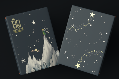 The Little Prince (Le Petit Prince) Insomnia Playing Card Gift Set